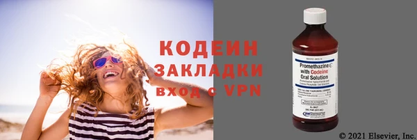 дурь Вяземский