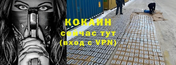 дурь Вяземский