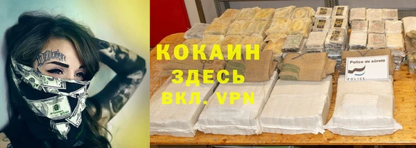 дурь Вяземский