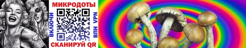 Купить где  Орск  Галлюциногенные грибы Psilocybe 